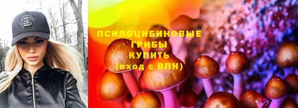 винт Новодвинск